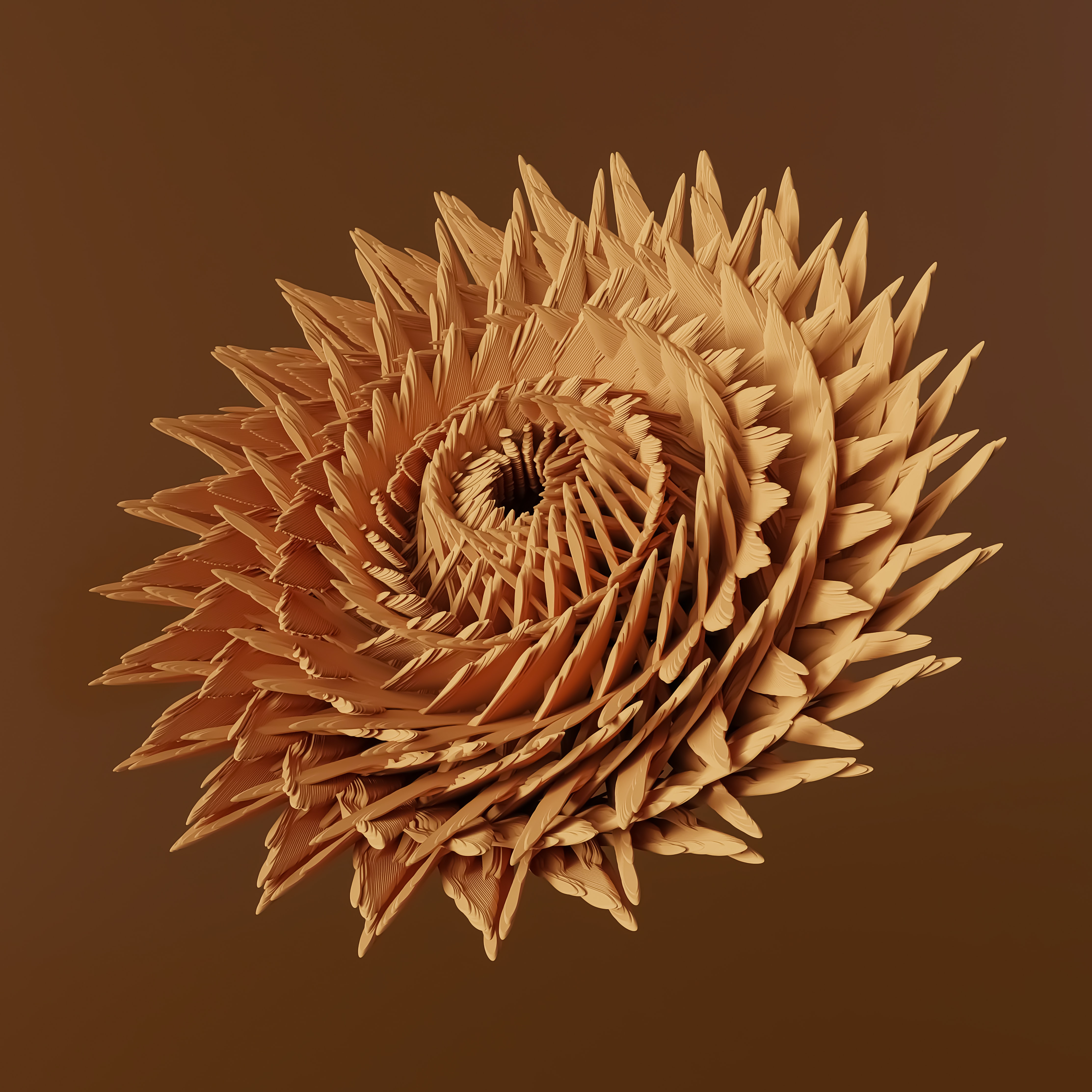 Image post 2